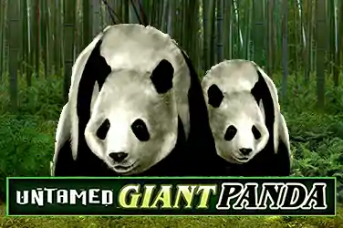 UNTAMED GIANT PANDA