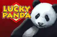 LUCKY PANDA H5?v=6.0